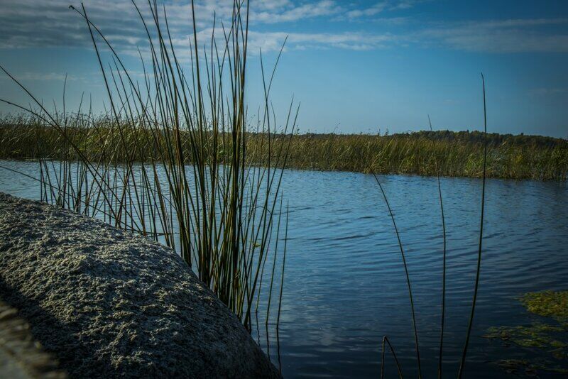 хутор Скреблово, Ленинградская область: фото 4