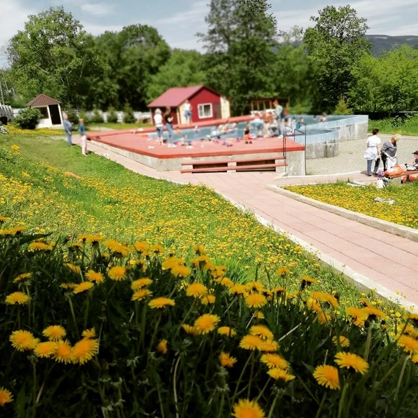 Лотос, Камчатский край: фото 5