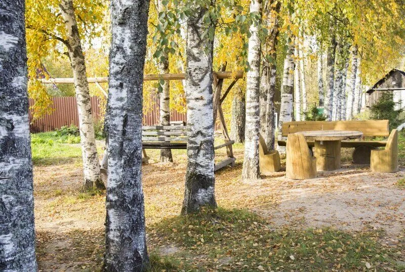 Хутор Надевицы, Ленинградская область: фото 4