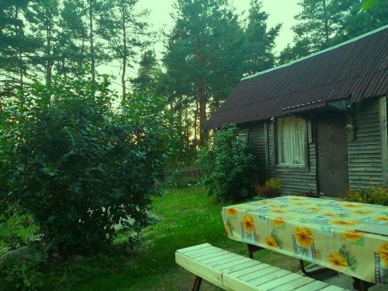 Гостевой дом Айно, Пряжинский район, Республика Карелия