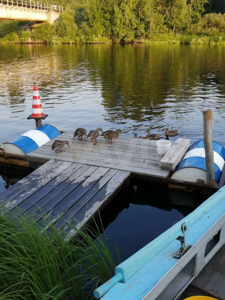 Карельское раздолье 2, Республика Карелия: фото 4