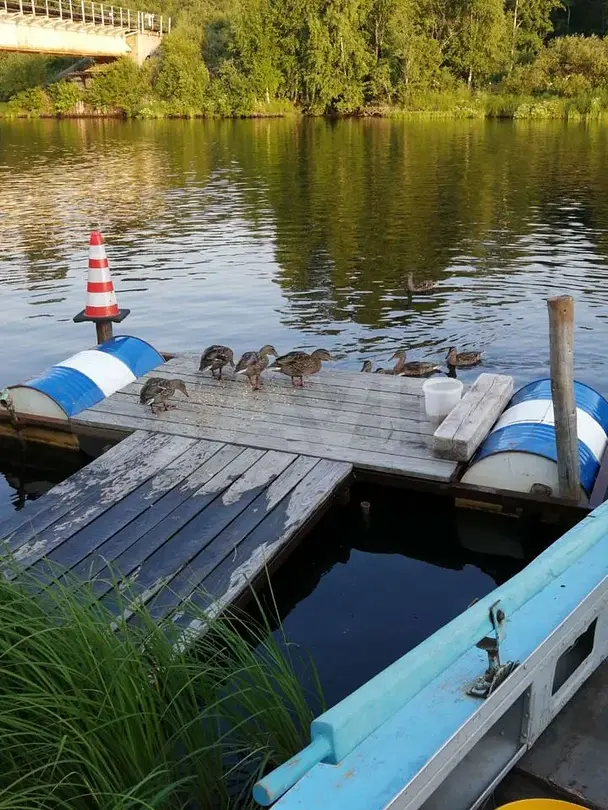 Карельское раздолье 2, Республика Карелия: фото 4