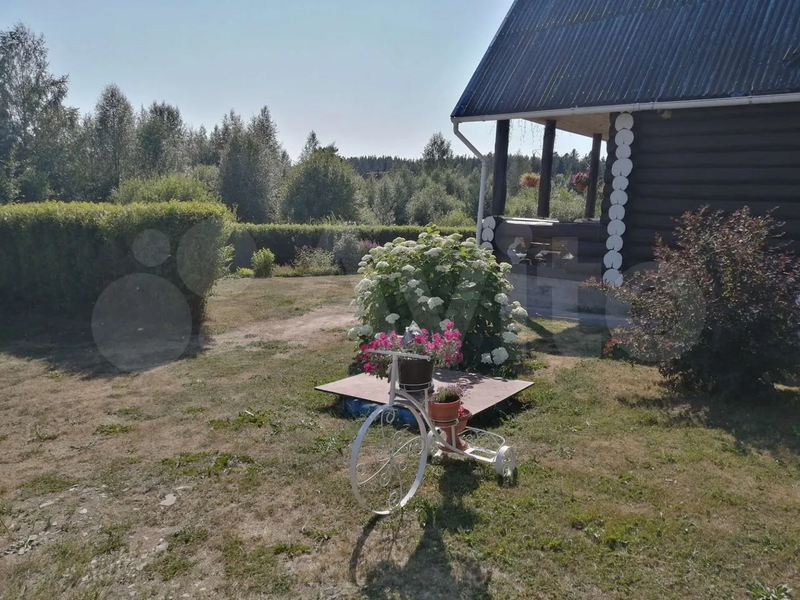 Карельское раздолье 2, Республика Карелия: фото 3