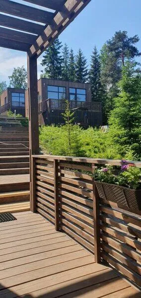 Черничный склон, Ленинградская область: фото 4