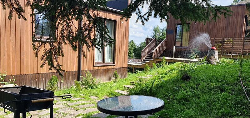 Черничный склон, Ленинградская область: фото 5