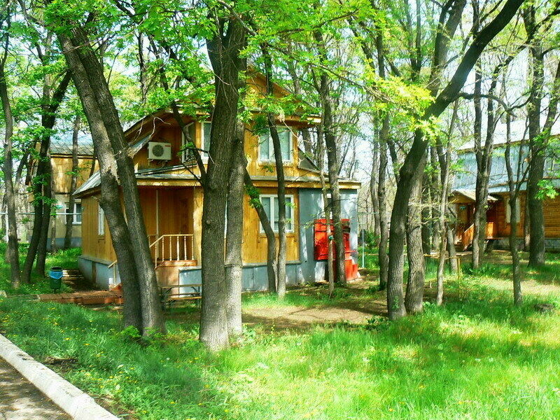 Чардым-Дубрава, Саратовская область: фото 4