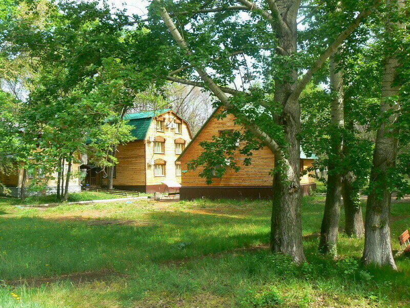 Чардым-Дубрава, Саратовская область: фото 5