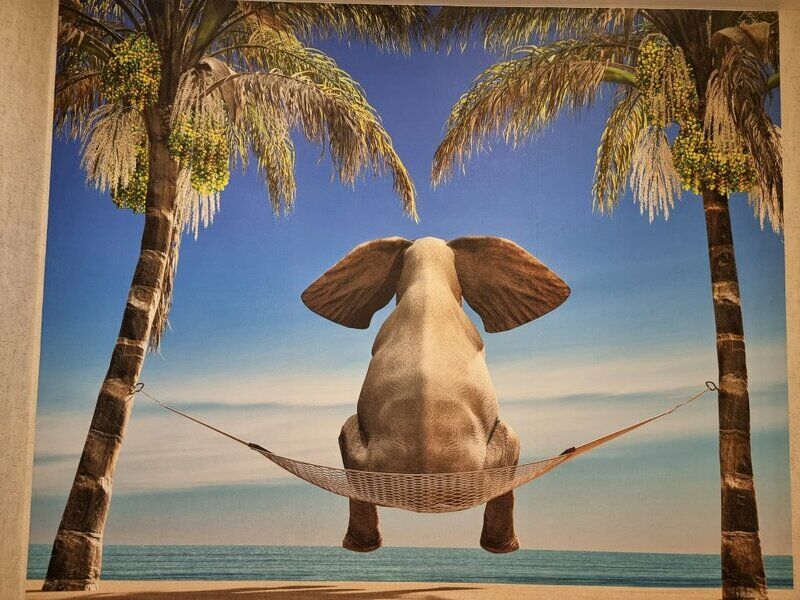 Апартаменты Гнездо слона, Республика Карелия, Сортавала 