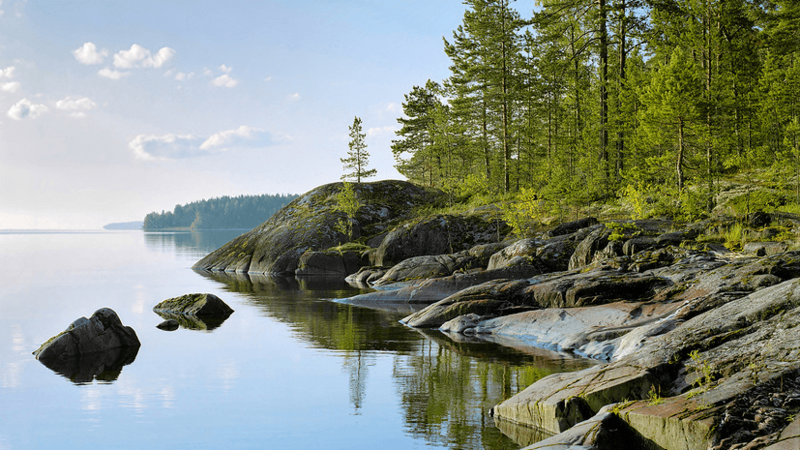 Карельское раздолье 1, Республика Карелия: фото 3