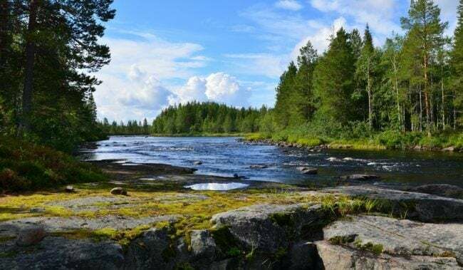 Карельское раздолье 1, Республика Карелия: фото 4