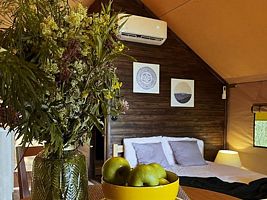 Тент, База отдыха Фрегат, Выборг