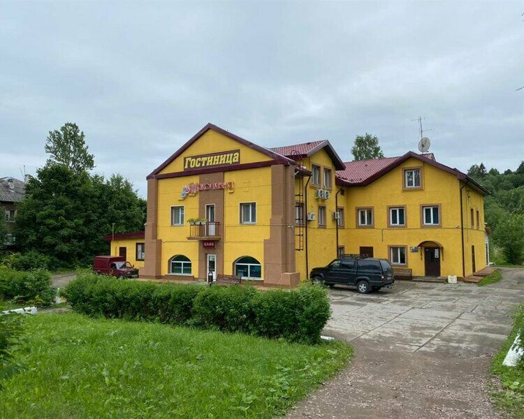 Гостиница У Максимыча, Ленинградская область, Подпорожский район 