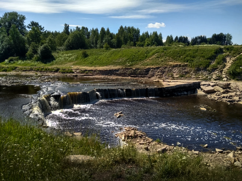 Балашовская Пустошь, Ленинградская область: фото 4