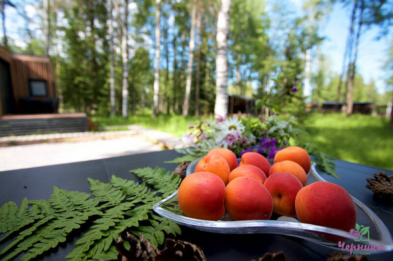 Черника, Ленинградская область: фото 5