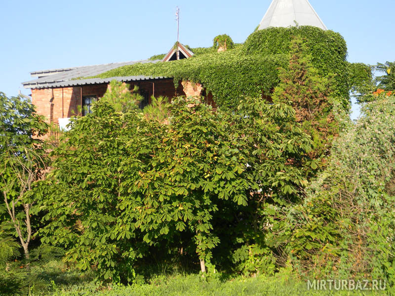 Киммерик, Крым: фото 3