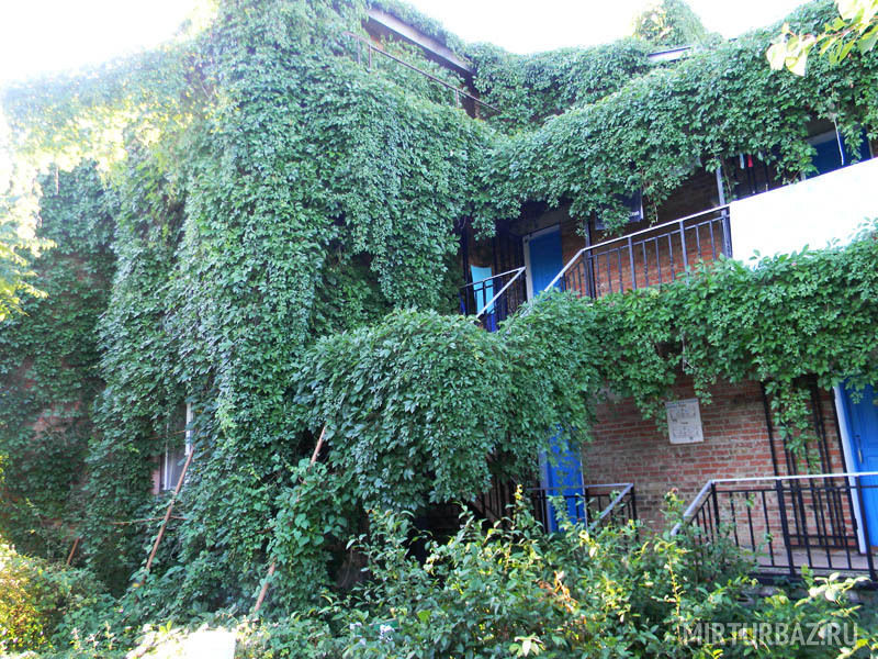 Киммерик, Крым: фото 4