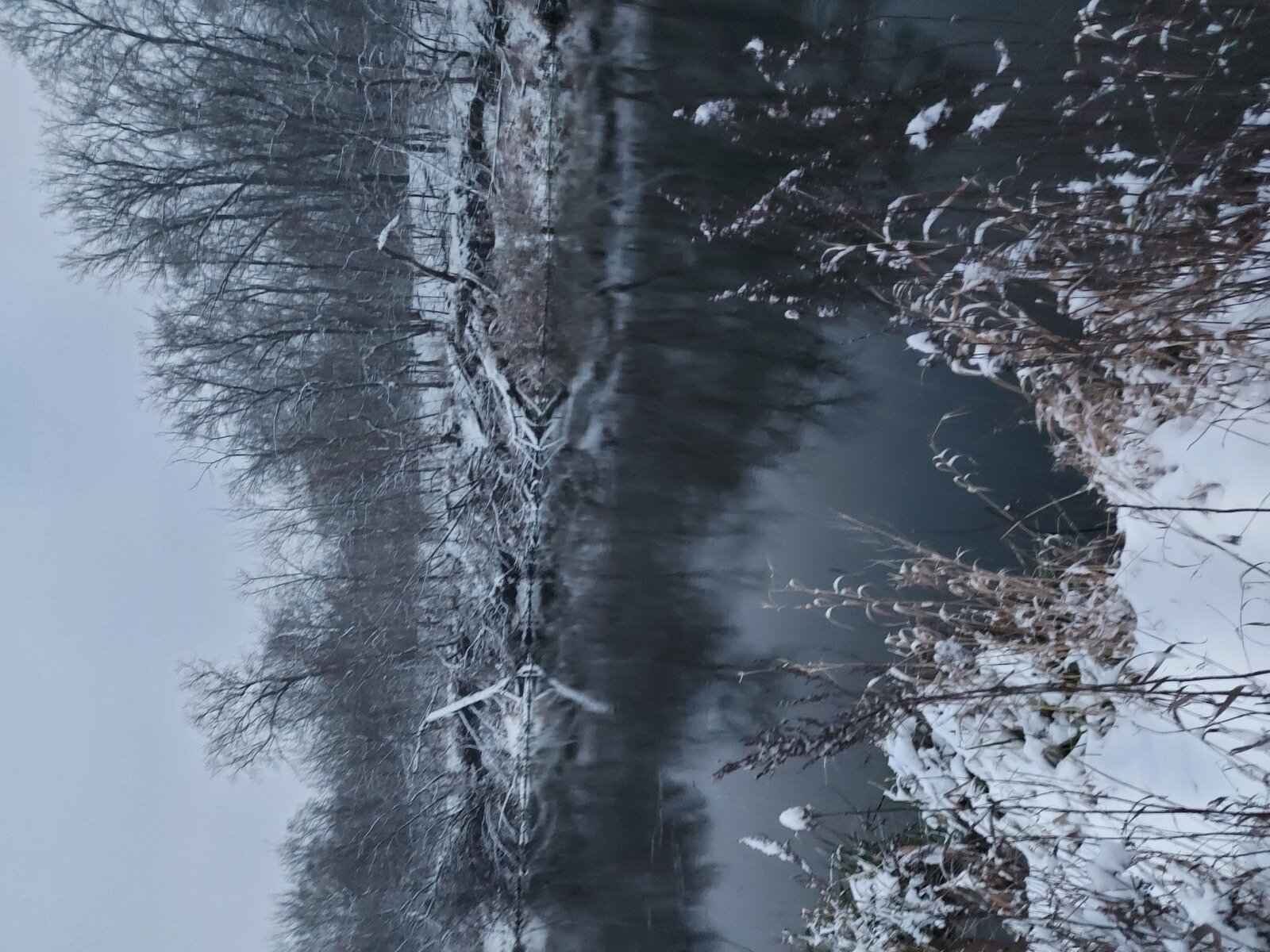 Фото 12 из отзыва о базе отдыха Хопёр