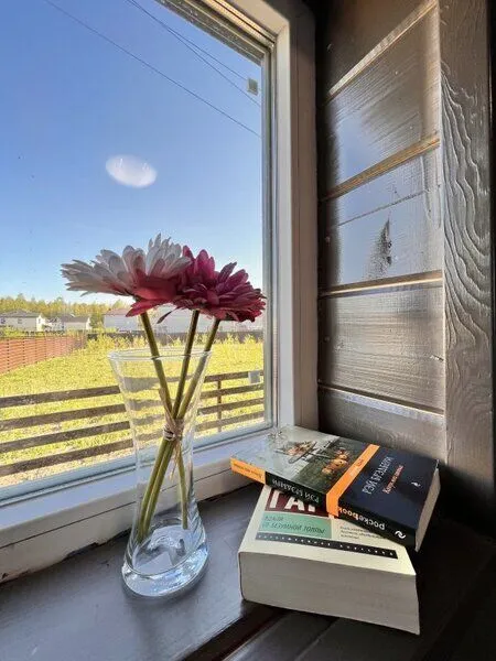 Частный дом МиксХаус, Ленинградская область: фото 3