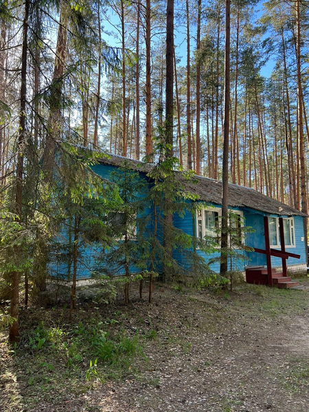 Залив, Нижегородская область: фото 3