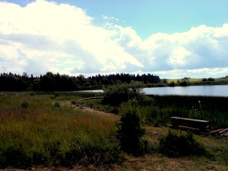 Парк-отель Золотая рыбка, Ярославская область, Данилов 