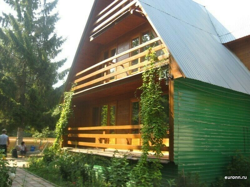 Альбатрос, Нижегородская область: фото 3