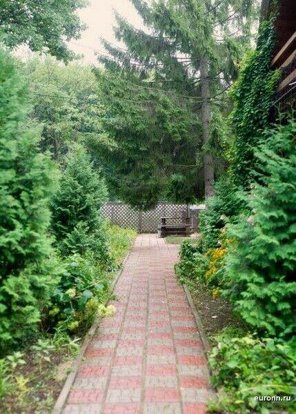 Альбатрос, Нижегородская область: фото 5