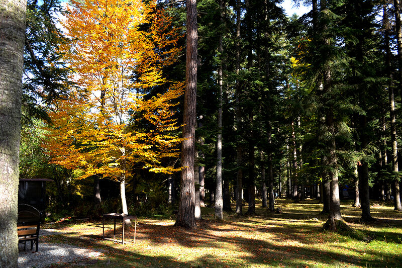 Территория | Аура, Республика Карачаево-Черкесия
