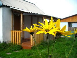 Домики стандарт  класса, База отдыха Солнышко, Шарыповский район