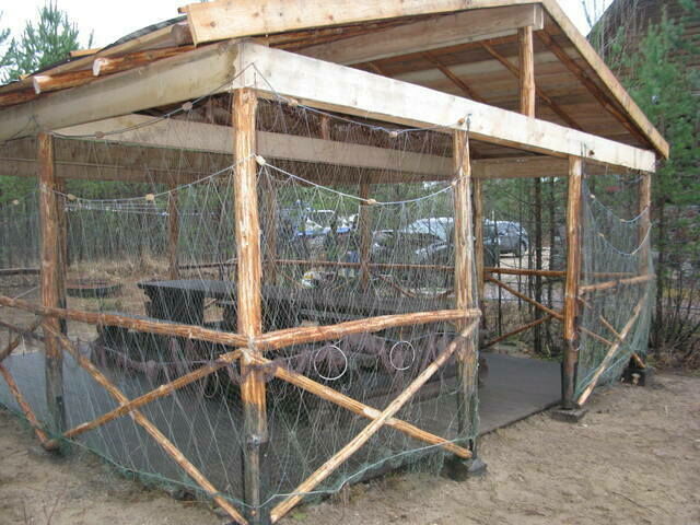 Волчья река, Республика Карелия: фото 3