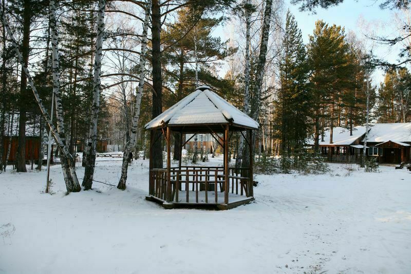 Белая сова, Красноярский край: фото 3