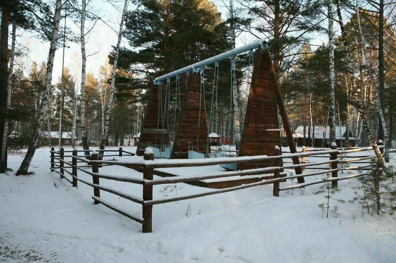 Белая сова, Красноярский край: фото 4