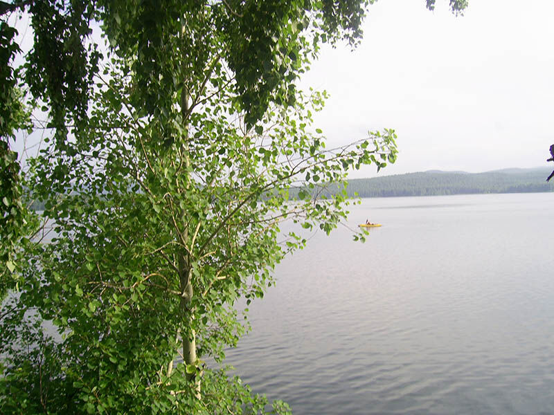 Линевский берег, Красноярский край: фото 3