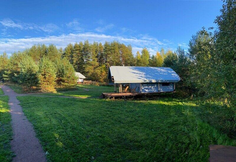 Йети на комете, Ленинградская область: фото 3