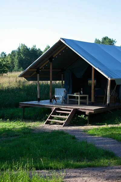 Йети на комете, Ленинградская область: фото 4