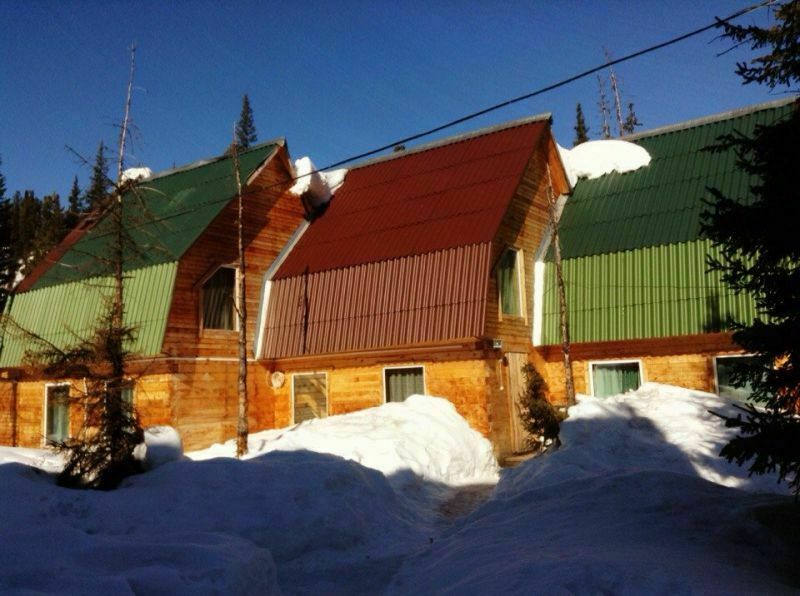 Елки, Красноярский край: фото 2