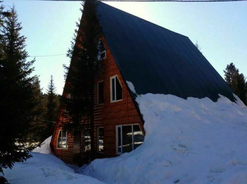 Елки, Красноярский край: фото 3