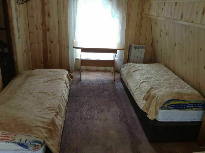 Елки, Красноярский край: фото 4