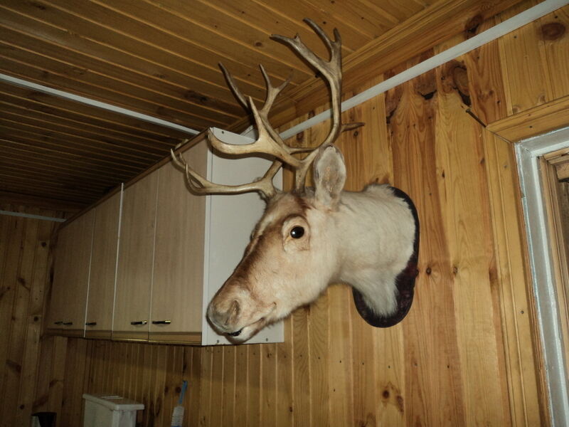 DreamHaus, Республика Карелия: фото 5