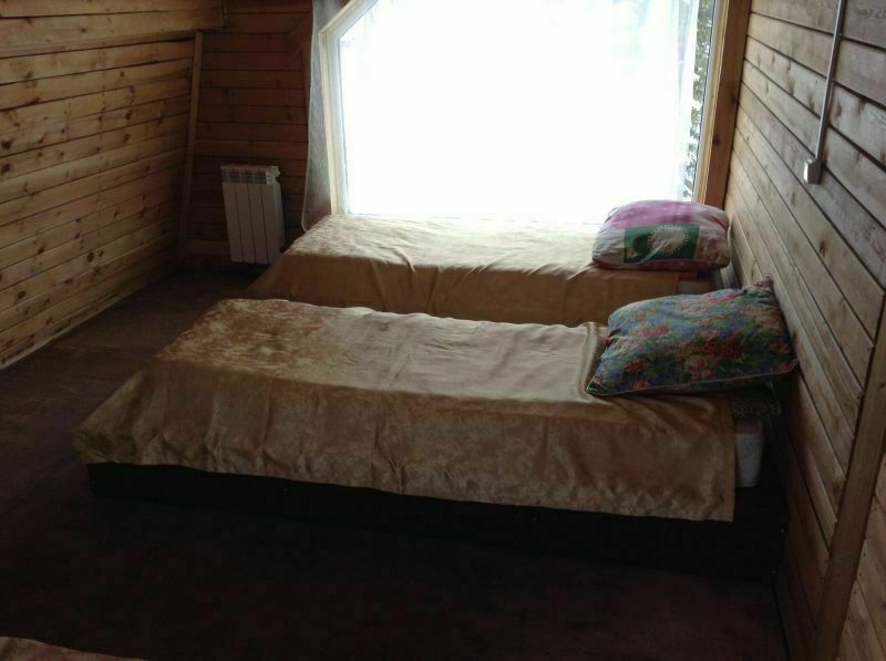 Елки, Красноярский край: фото 5