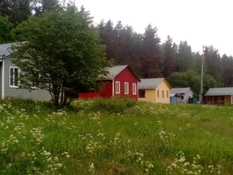 Хутор у залива, Ленинградская область: фото 2