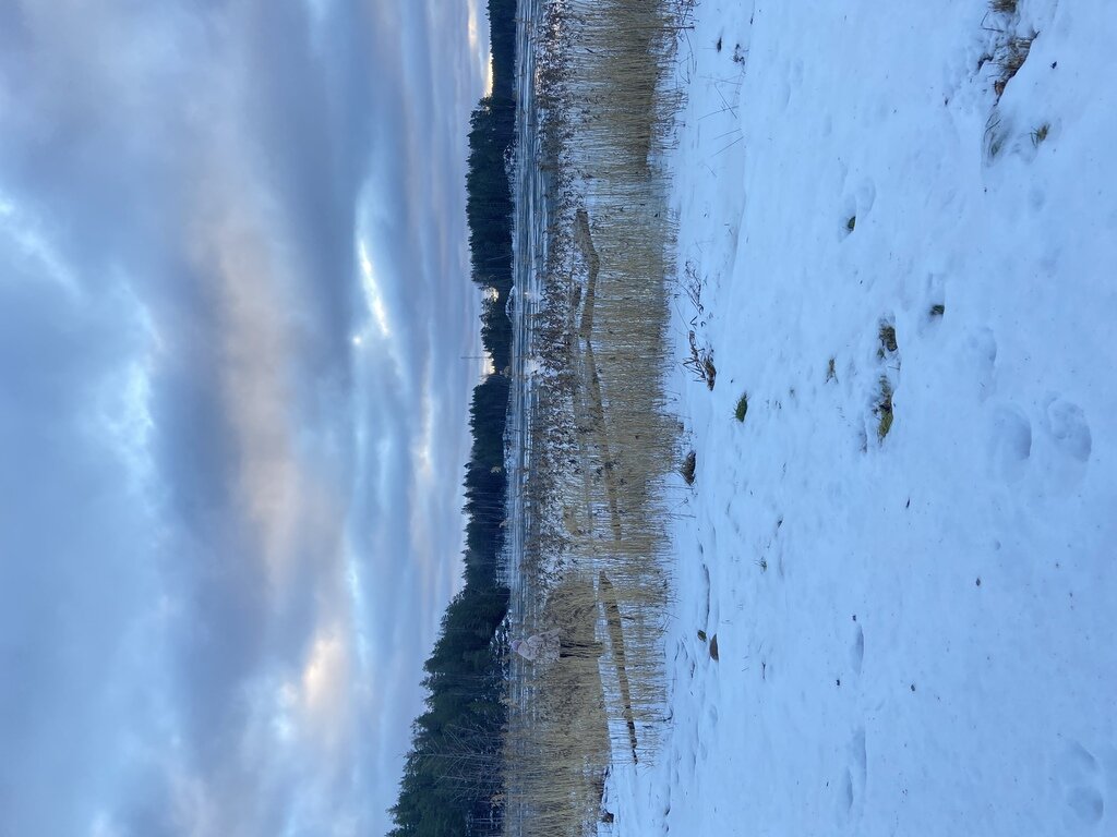 Фото из отзыва от 31.12.2022