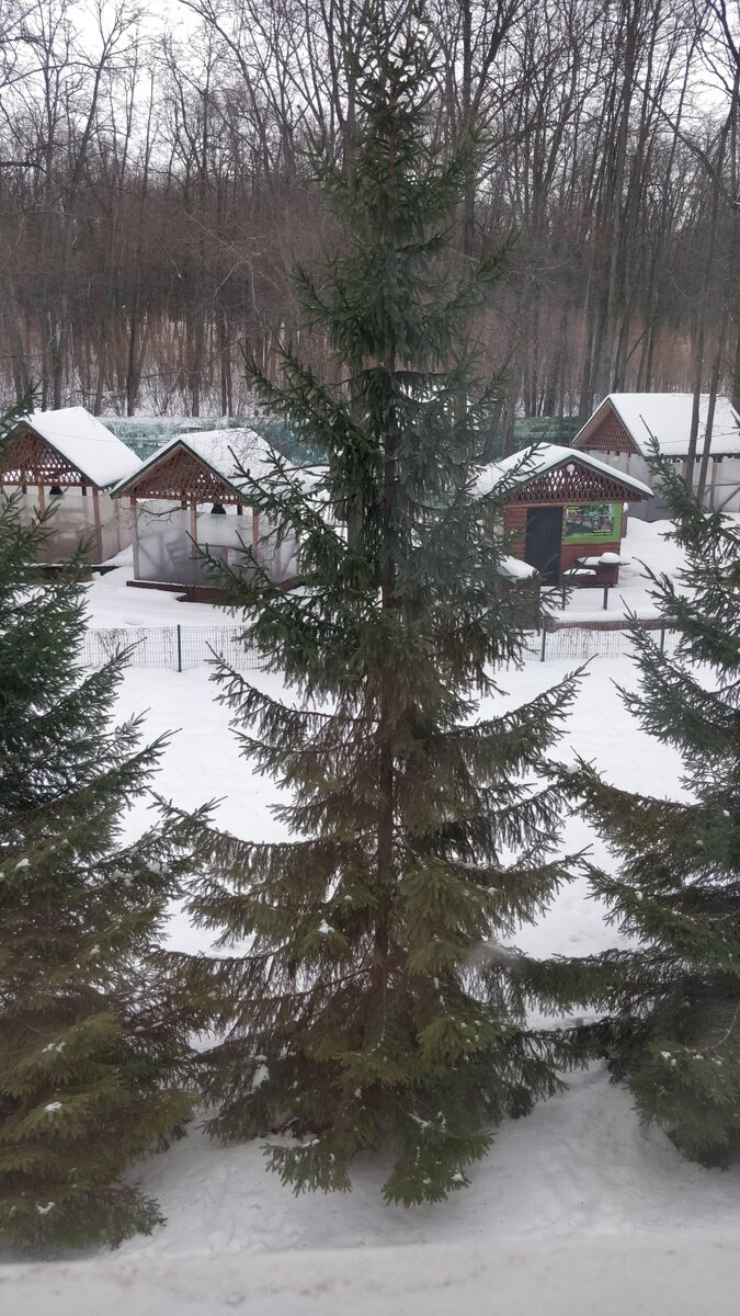 Фото 8 из отзыва о парк-отеле Дубрава