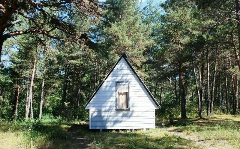 Серебряный бор, Красноярский край: фото 5