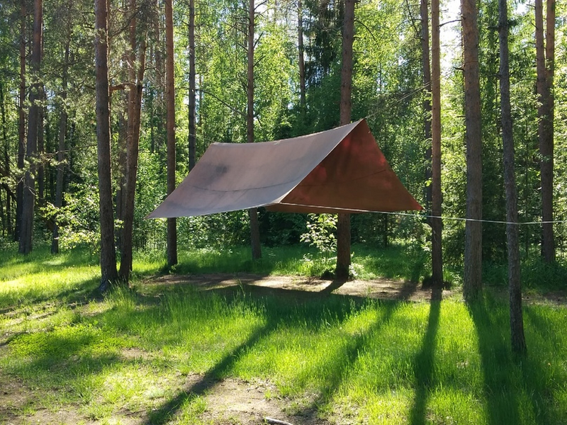 Тент в лесу