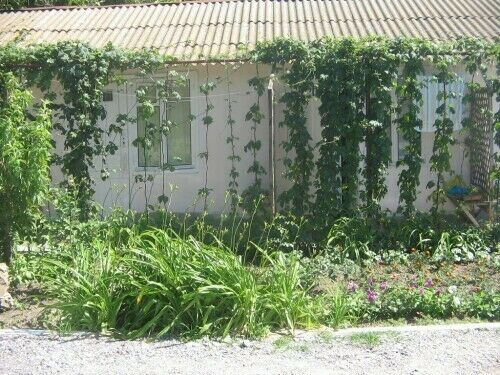 2-х местный номер | Маяк, Крым