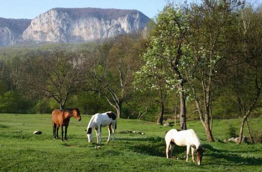 Турбаза "У горной речки" | У горной речки, Крым