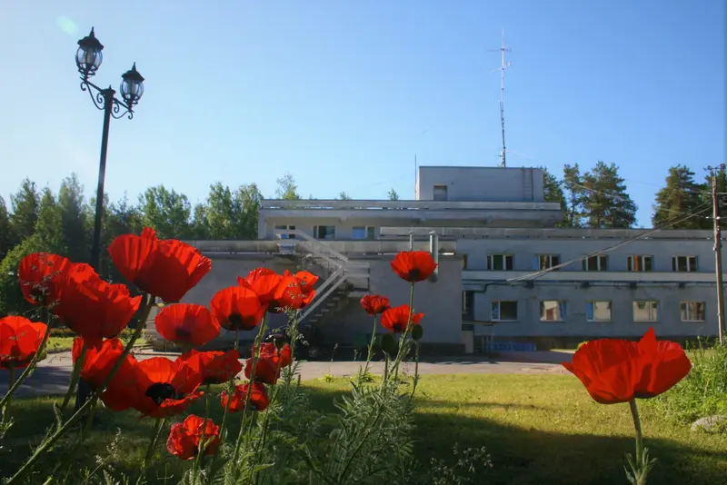 Озеро Зеркальное, Ленинградская область: фото 4