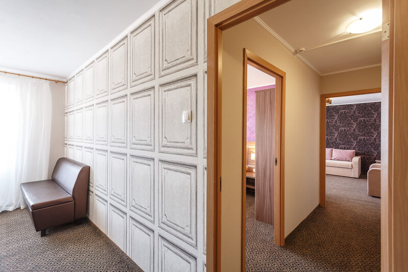 Джуниор Сюит 2-местный 2-комнатный (корпус 1)