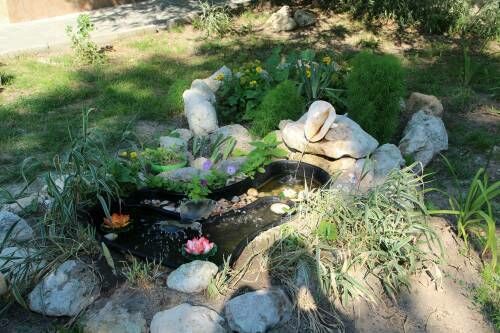 База отдыха «Золотое» | Золотое, Крым