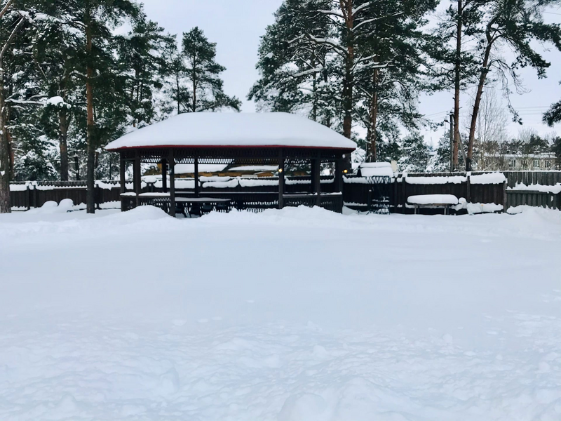 Загородный отдых, Ленинградская область: фото 5